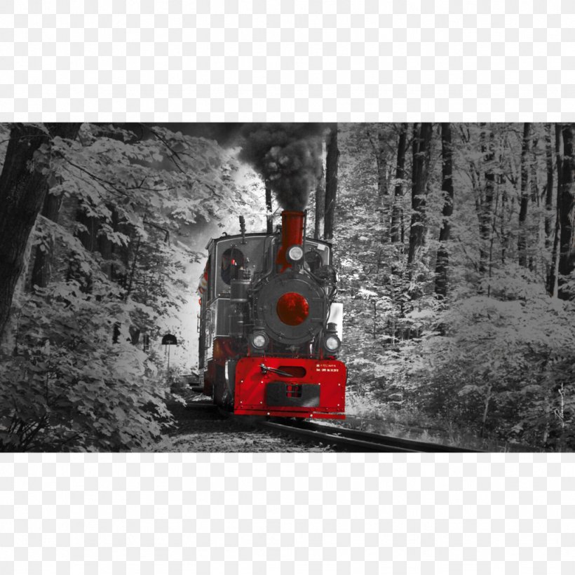 Furniture Kunstdruck Train Picture Frames Steam Locomotive, PNG, 1024x1024px, Furniture, Canvas, Color, Garden, Geological Phenomenon Download Free