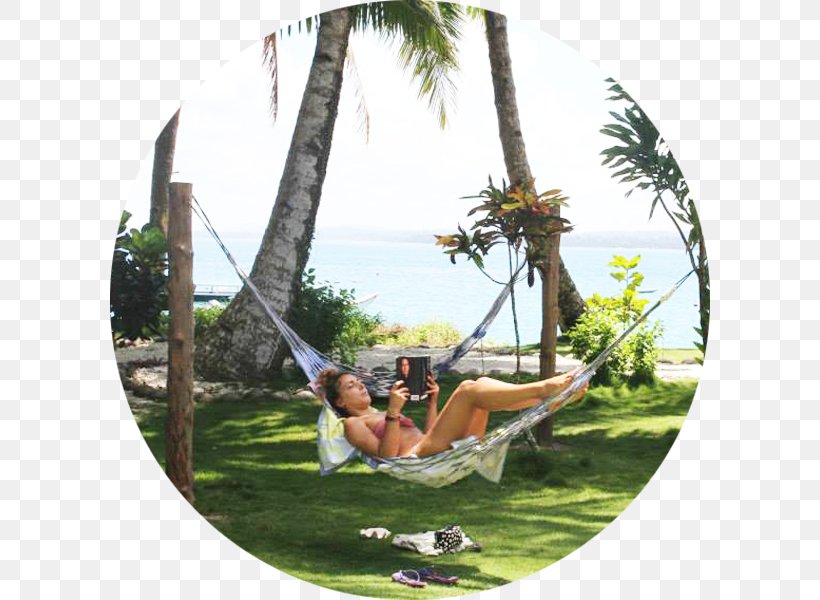 Leisure Recreation Hammock Vacation Tree, PNG, 600x600px, Leisure, Hammock, Plant, Recreation, Stx Gl1800ejmvgr Eo Download Free