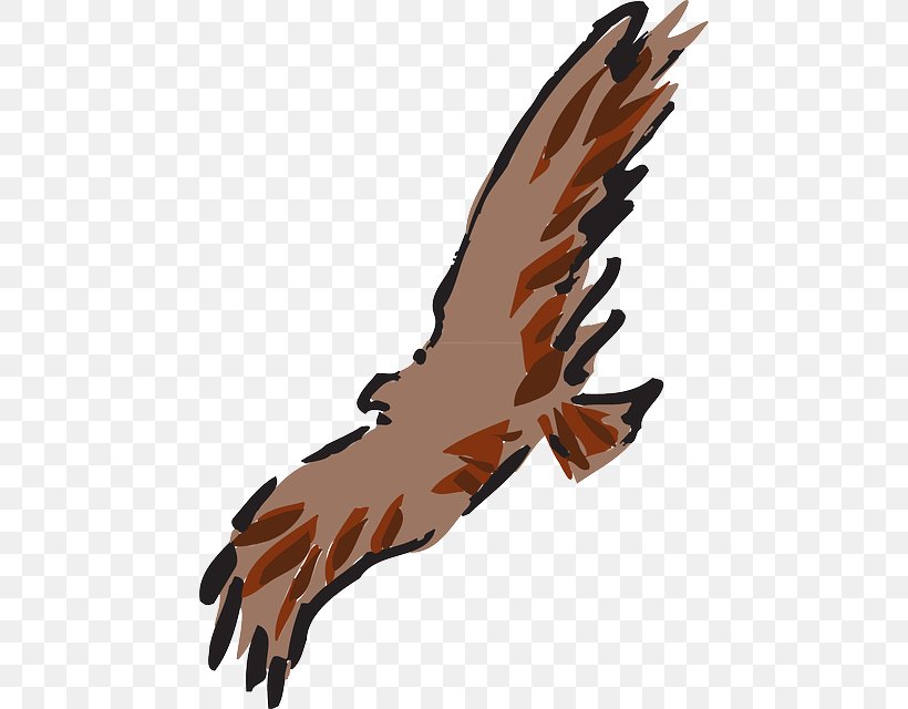 Eagle Feather Art Clip Art, PNG, 460x640px, Eagle, Accipitriformes, Animal, Art, Beak Download Free