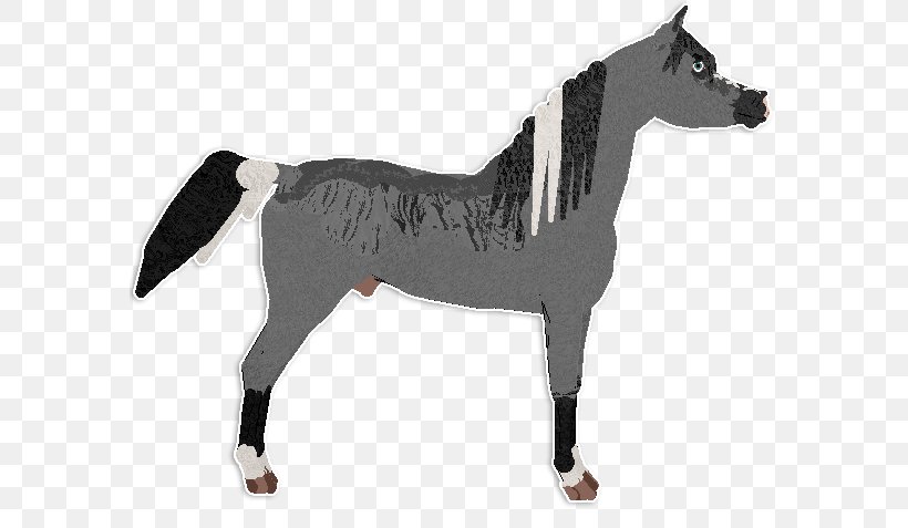Stallion Mustang Rein Mare Halter, PNG, 585x477px, Stallion, Animal, Animal Figure, Halter, Horse Download Free