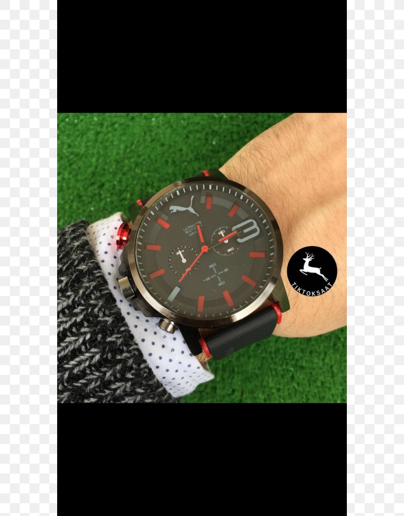 Watch Strap Clothing Accessories Brand, PNG, 750x1046px, Watch, Brand, Clothing Accessories, Grass, Strap Download Free