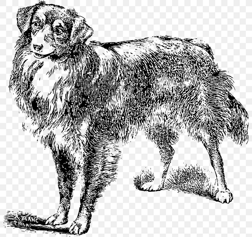 Dog Breed Clip Art, PNG, 800x771px, Dog, Black And White, Carnivoran, Dog Breed, Dog Breed Group Download Free