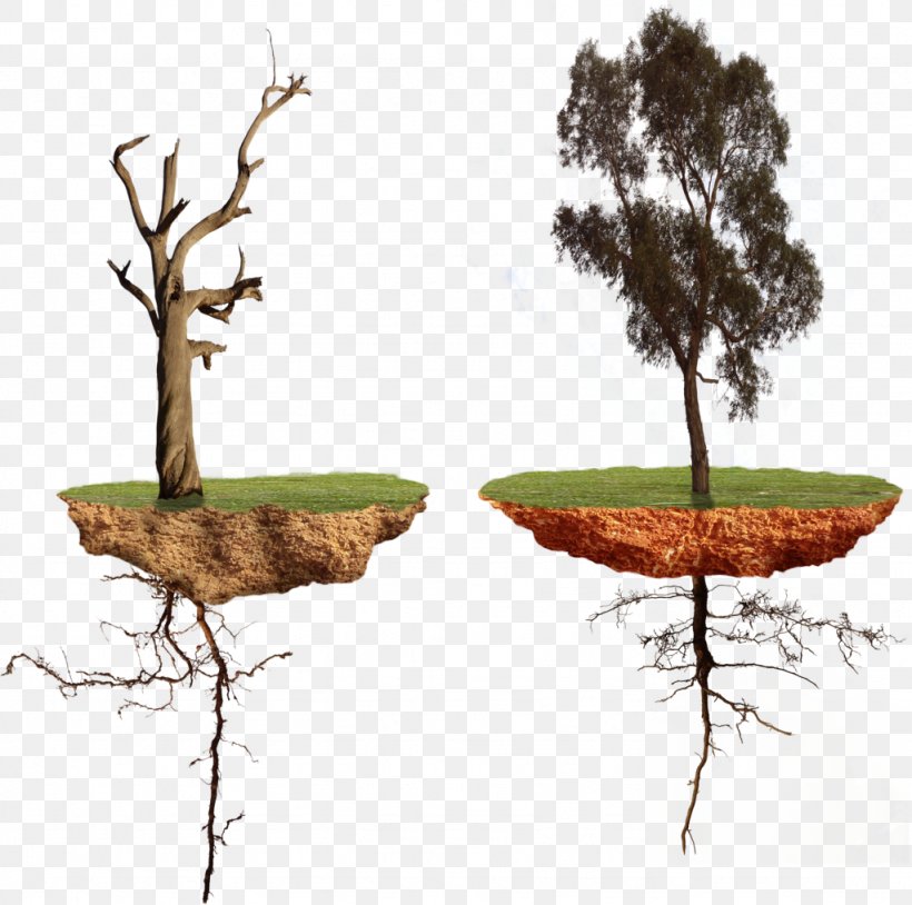 Floating Island /m/083vt Stock Photography, PNG, 1024x1017px, Floating Island, Branch, Color, Deviantart, Grass Download Free