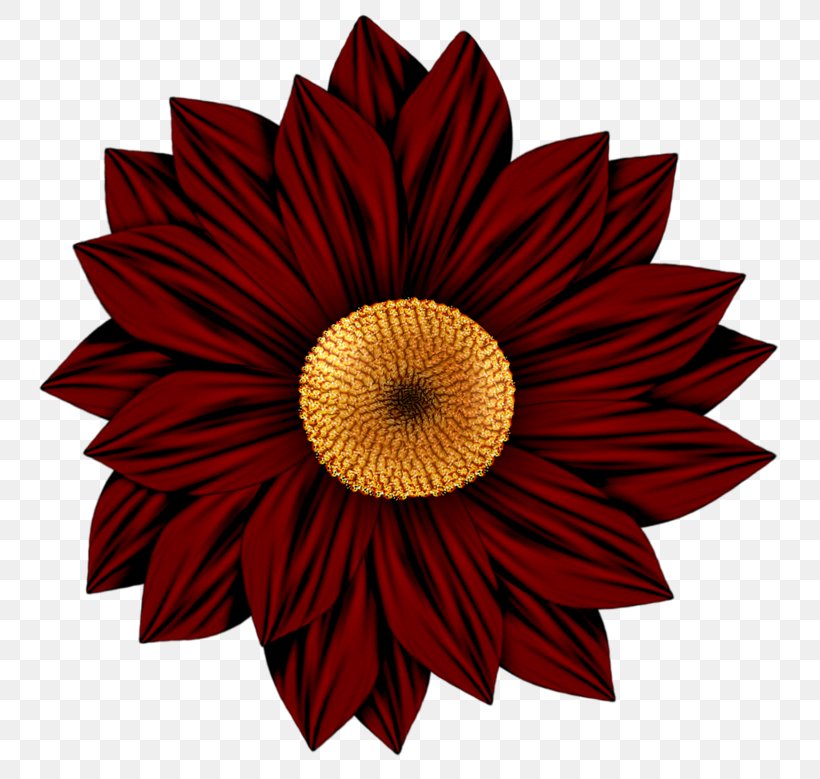 Flower Drawing Art Clip Art, PNG, 800x779px, Flower, Art, Autumn, Common Sunflower, Cut Flowers Download Free
