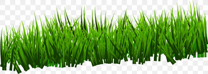Green Grassland, PNG, 2000x715px, Green, Animation, Cartoon, Commodity, Drawing Download Free