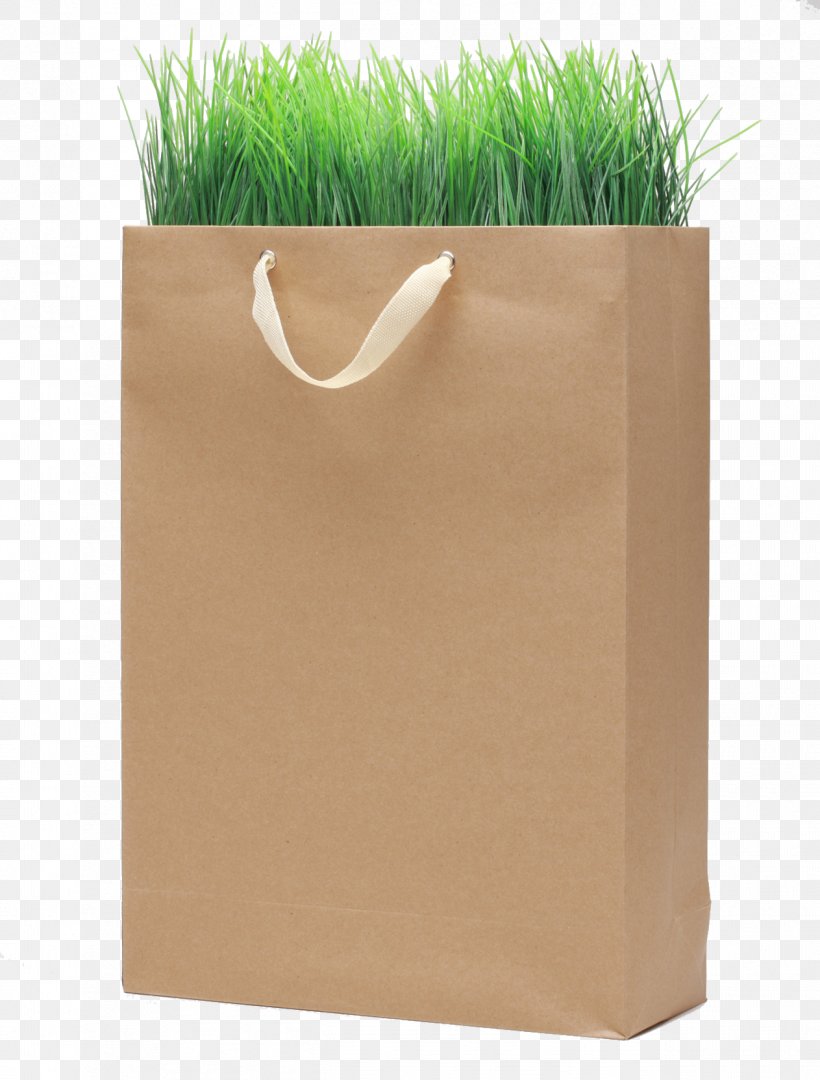 Kraft Paper Shopping Bag Paper Bag, PNG, 1263x1664px, Paper, Bag, Brand, Environmentally Friendly, Google Images Download Free