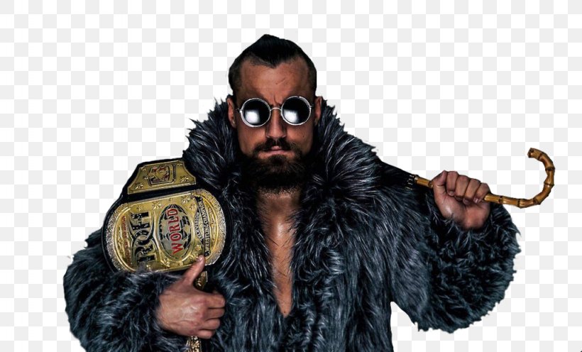 Marty Scurll ROH World Television Championship ROH/NJPW War Of The Worlds  Ring Of Honor Professional