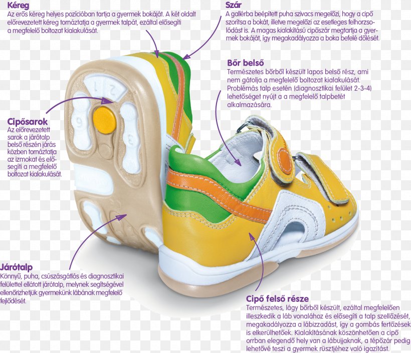 Shoe Footwear Sandal Child Memo, PNG, 1693x1456px, Shoe, Boot, Child, Footwear, Memo Download Free