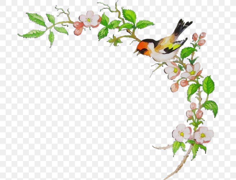 Watercolor Flower Background, PNG, 699x626px, Watercolor, Art, Bird, Blossom, Branch Download Free