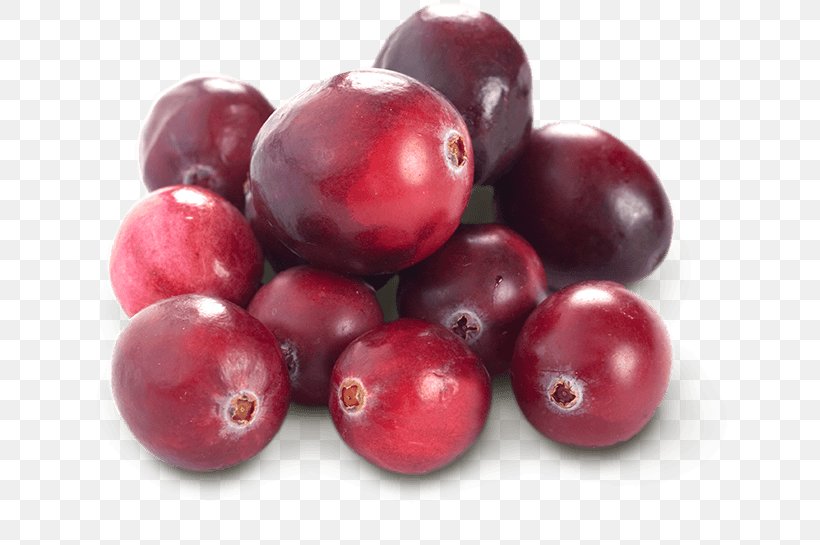 Cranberry Juice Fruit Blueberry, PNG, 675x545px, Cranberry, Auglis, Avocado, Berry, Blueberry Download Free