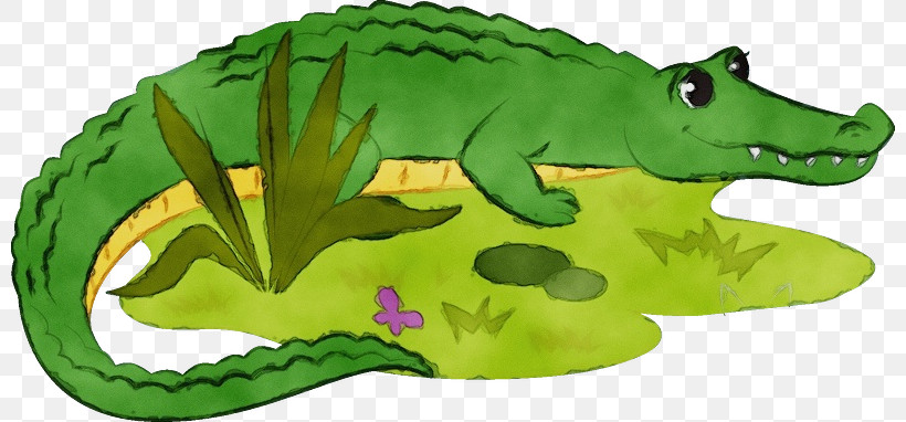 Crocodiles Green Animal Figurine Cartoon Biology, PNG, 800x382px, Watercolor, Animal Figurine, Biology, Cartoon, Crocodiles Download Free