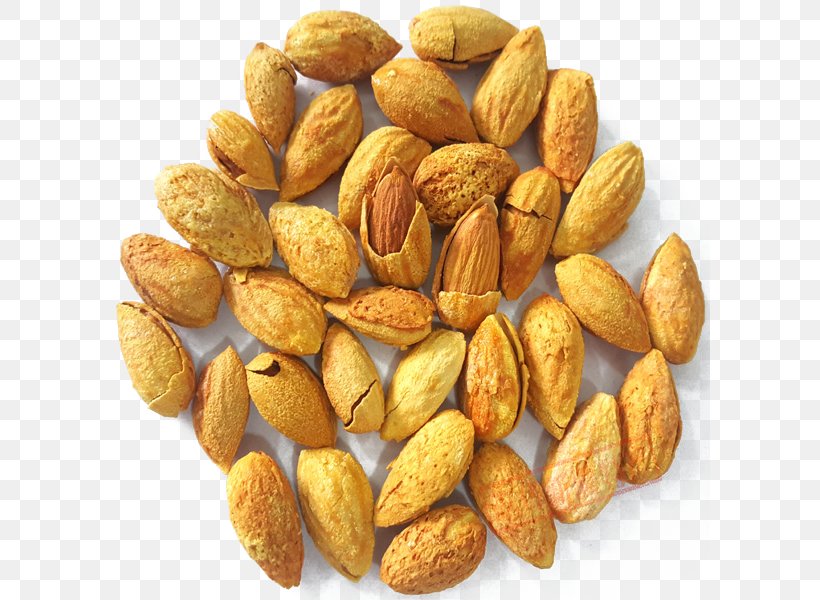 Nut Almond Vegetarian Cuisine Dried Fruit Apricot Kernel, PNG, 600x600px, Nut, Almond, Apricot, Apricot Kernel, Auglis Download Free