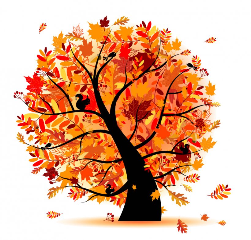 Autumn Tree Clip Art, PNG, 935x898px, Autumn, Branch, Floral Design, Flower, Fotosearch Download Free