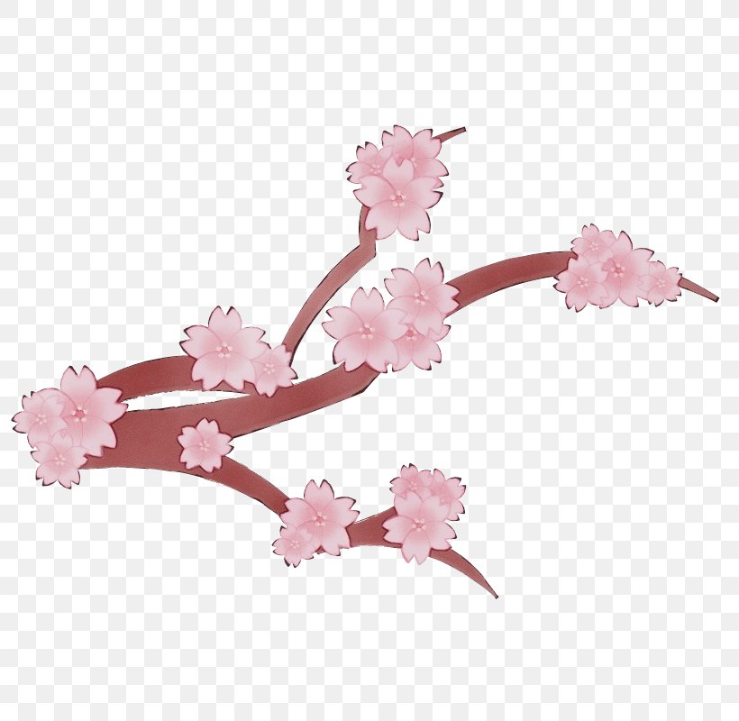 Cherry Blossom, PNG, 800x800px, Watercolor, Blossom, Branch, Cherry Blossom, Cut Flowers Download Free