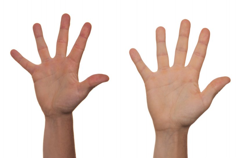 Handshake Finger Arm, PNG, 2048x1365px, Hand, Arm, Child, Finger, Hand Model Download Free