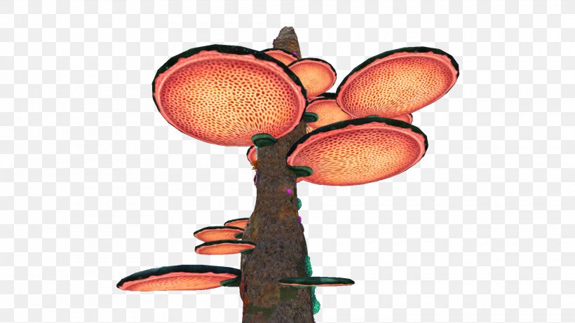 Tree Erythrina Clip Art, PNG, 1920x1080px, Tree, Cartoon, Coral, Erythrina, Istock Download Free