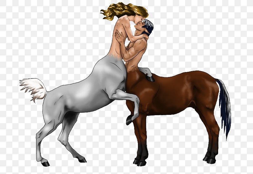 Centaur Horse Drawing Foal, PNG, 800x565px, Centaur, Animal Figure, Bridle, Colt, Drawing Download Free