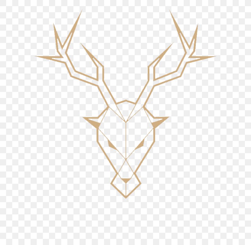Deer Logo Adobe Illustrator Line, PNG, 800x800px, Deer, Antler, Composition, Geometry, Line Segment Download Free