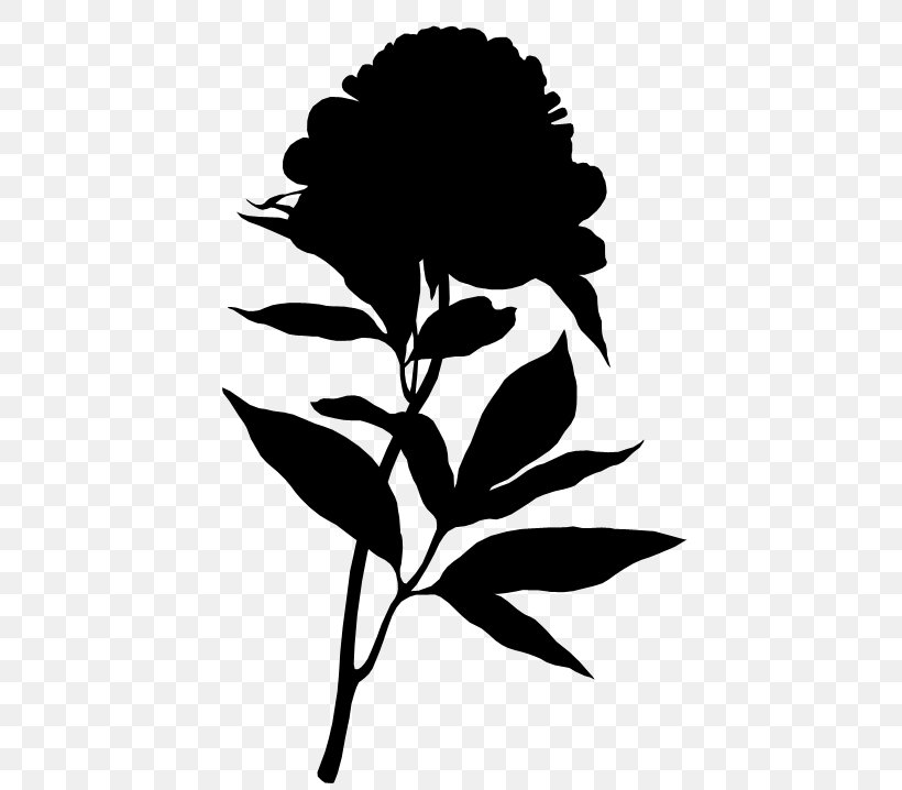 Flower Illustration Rose Cut Flowers Floral Design, PNG, 460x718px, Flower Illustration, Blackandwhite, Botany, Branch, Cut Flowers Download Free