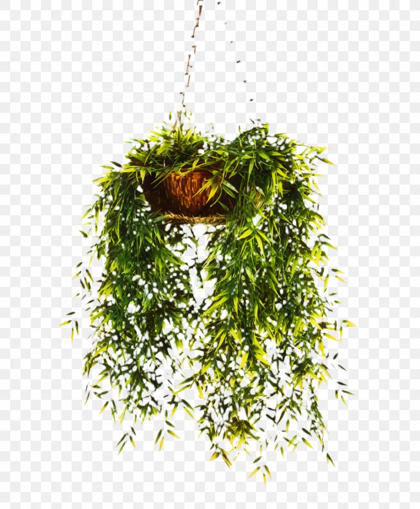 Herb, PNG, 898x1088px, Herb, Flower, Leaf, Plant, Vascular Plant Download Free