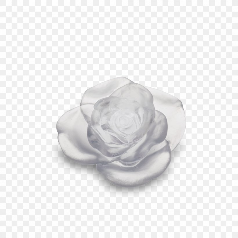 White Rose Flower Green Red, PNG, 1000x1000px, White, Black, Black And White, Blue, Daum Download Free