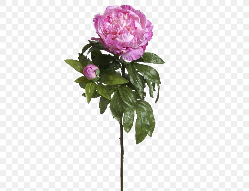 Cabbage Rose Garden Roses Flowerpot Cut Flowers, PNG, 710x630px, Cabbage Rose, Artificial Flower, Cut Flowers, Flower, Flowering Plant Download Free