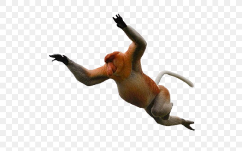 Desktop Wallpaper Proboscis Monkey Baboons, PNG, 512x512px, Monkey, Baboons, Child, Fauna, Information Download Free