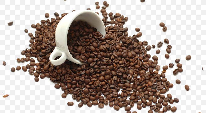 Instant Coffee Tea Coffee Bean Coffee Roasting, PNG, 800x450px, Coffee, Bean, Caffeine, Cocoa Bean, Coffee Bean Download Free