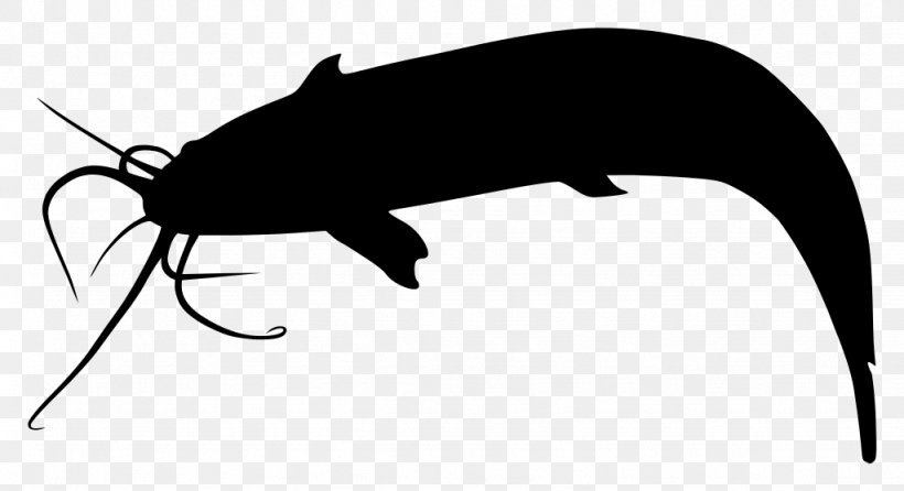 Catfish Silhouette Clip Art, PNG, 1024x557px, Catfish, Bat, Black, Black And White, Drawing Download Free