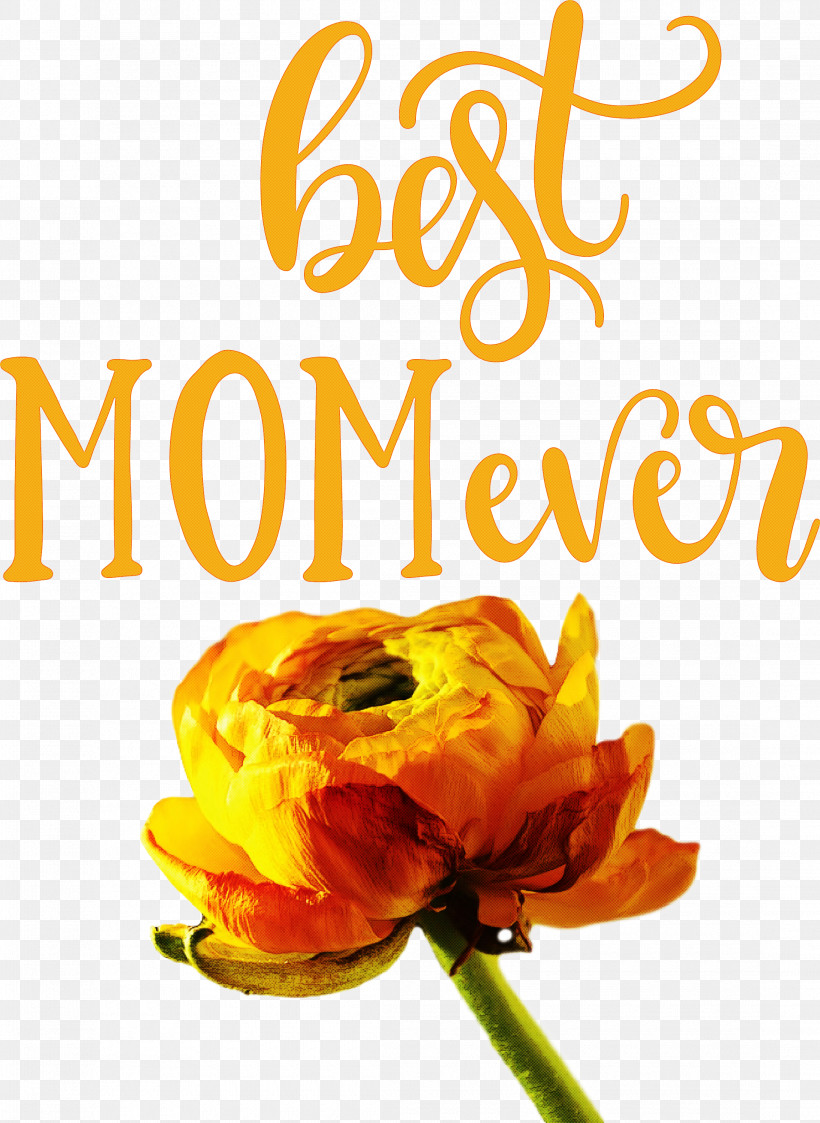 Mothers Day Best Mom Ever Mothers Day Quote, PNG, 2190x3000px, Mothers Day, Best Mom Ever, Biology, Cut Flowers, Floral Design Download Free