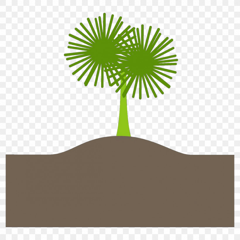 Palm Tree, PNG, 1200x1200px, Tree, Arecales, Leaf, Logo, Palm Tree Download Free