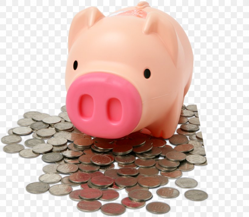 Piggy Bank Domestic Pig Finance Money, PNG, 1082x946px, Piggy Bank, Bank, Business, Domestic Pig, Finance Download Free