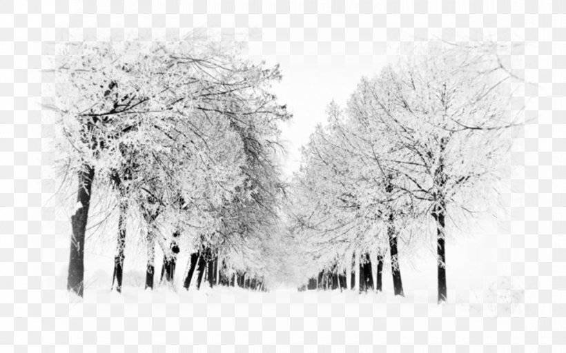 Snow Desktop Wallpaper Winter Wallpaper Group, PNG, 980x613px, Snow, Artwork, Black And White, Blizzard, Branch Download Free