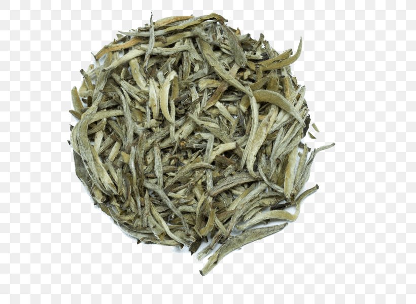 Baihao Yinzhen White Tea Dianhong Golden Monkey Tea, PNG, 600x600px, Baihao Yinzhen, Assam Tea, Bai Mudan, Bancha, Biluochun Download Free