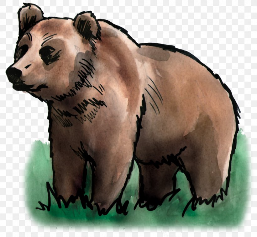 Bear Terrestrial Animal Snout Wildlife, PNG, 1004x925px, Bear, Animal, Carnivoran, Fauna, Mammal Download Free