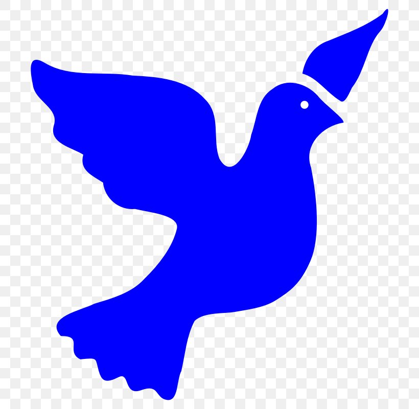 Columbidae Peace Symbols Clip Art, PNG, 800x800px, Columbidae, Beak, Bird, Blue, Cobalt Blue Download Free
