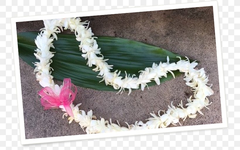 Kapalua Florist Lei Floral Design Tuberose, PNG, 750x511px, Lei, Color, Family, Floral Design, Florist Download Free