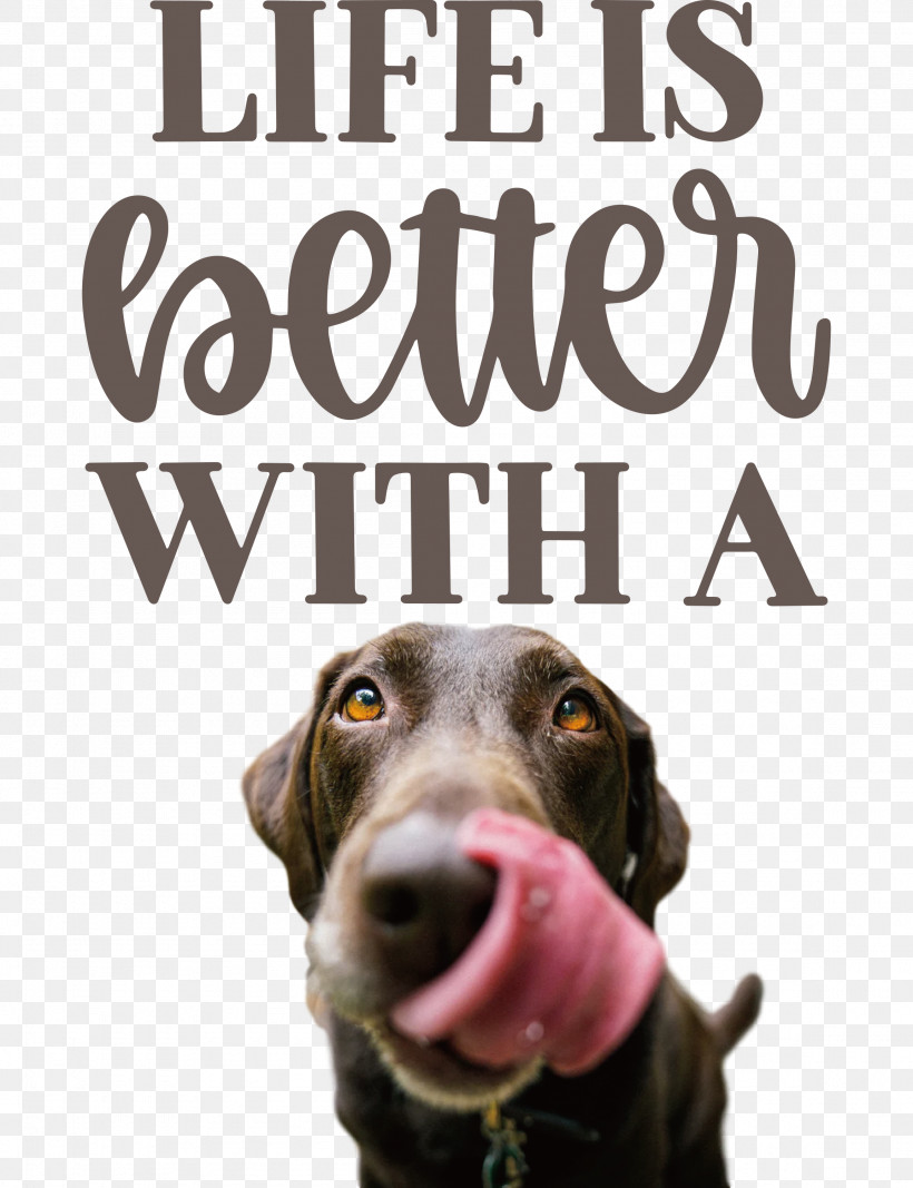 Life Better, PNG, 2305x3000px, Life, Better, Biology, Breed, Crossbreed Download Free