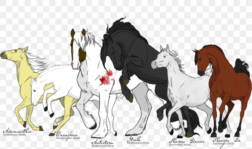 Mustang Foal Pony Stallion Colt, PNG, 1024x606px, Mustang, All Together Now, Animal Figure, Art, Camel Like Mammal Download Free