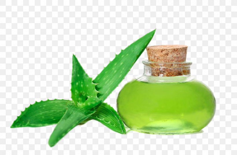 Aloe Vera Acne Pimple Skin Scar, PNG, 1000x656px, Aloe Vera, Acne, Aloe, Alternative Medicine, Aphthous Stomatitis Download Free