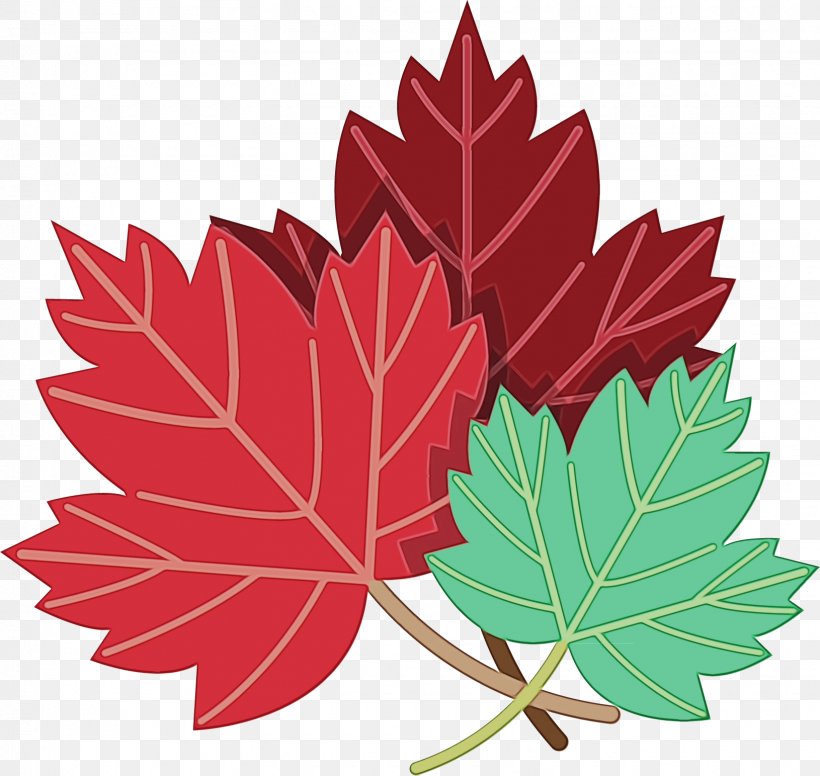 Canada Maple Leaf, PNG, 1630x1543px, Watercolor, Autumn Leaf Color, Black Maple, Botany, Canada Download Free