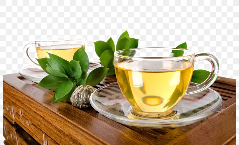 Green Tea White Tea Oolong Tea Plant, PNG, 800x499px, Green Tea, Black Tea, Caffeine, Coffee, Coffee Cup Download Free