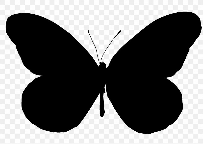 Vector Graphics Clip Art Silhouette Image, PNG, 2099x1491px, Silhouette, Black, Blackandwhite, Brushfooted Butterfly, Butterfly Download Free