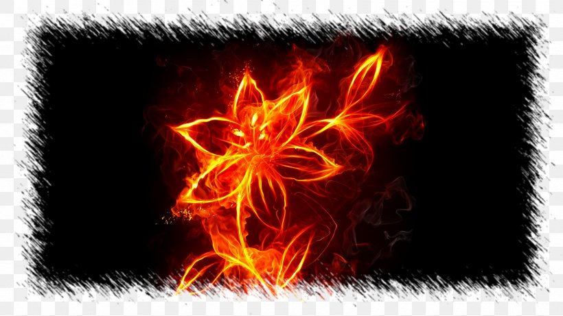 Desktop Wallpaper Fire Flame High-definition Television Flower, PNG, 1600x900px, 4k Resolution, Fire, Combustion, Fire Art, Flame Download Free