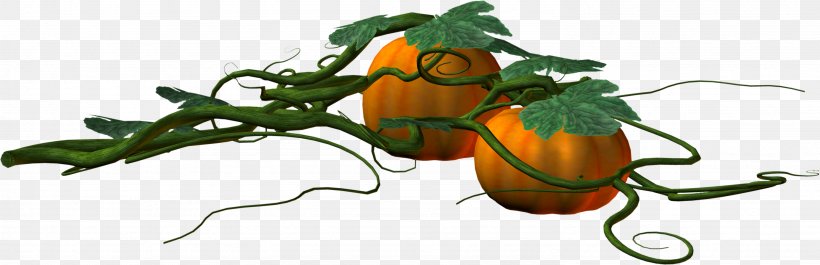Pumpkin Orange Leaf, PNG, 2977x964px, Pumpkin, Branch, Designer, Food, Fruit Download Free