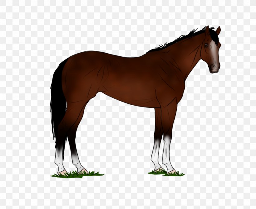American Quarter Horse Roan Dun Locus Cream Locus Horse Racing, PNG, 1024x838px, American Quarter Horse, Bay, Breed Registry, Bridle, Buckskin Download Free