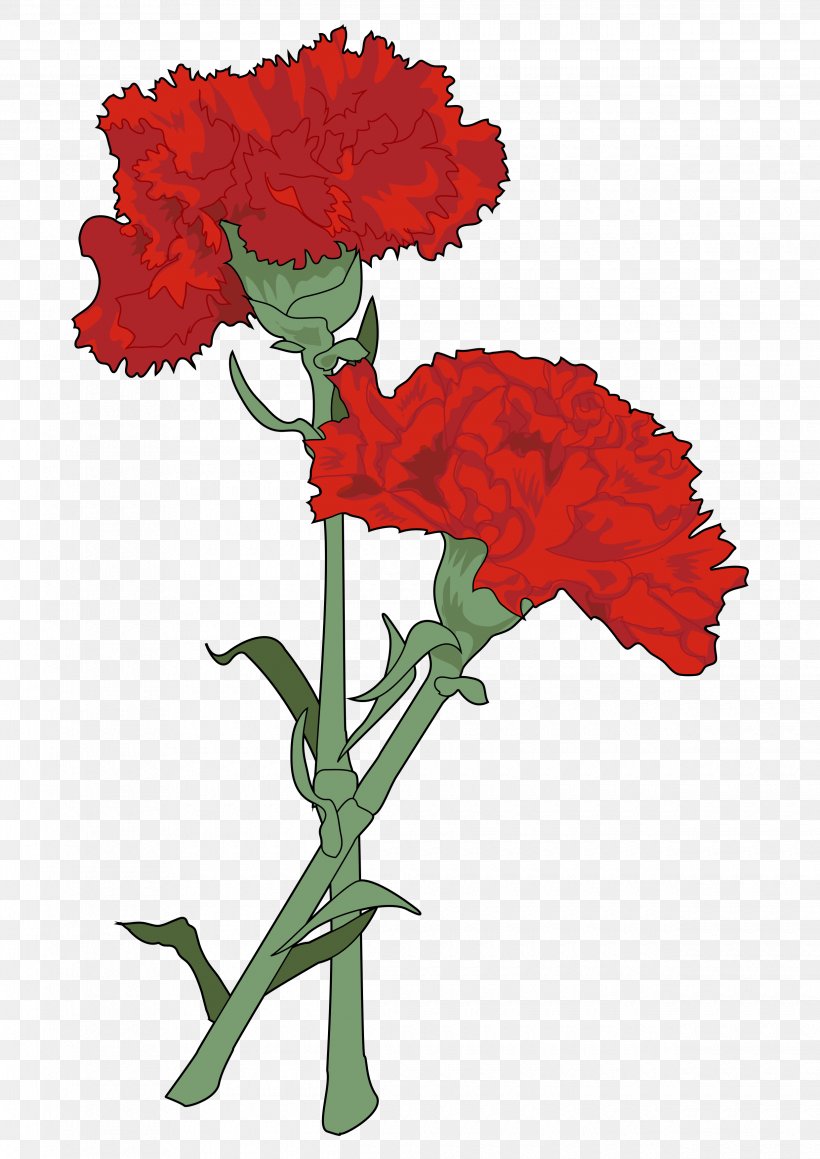 Carnation Drawing Cut Flowers Watercolor Painting, PNG, 2480x3508px, Carnation, Cut Flowers, Drawing, Flora, Floral Design Download Free