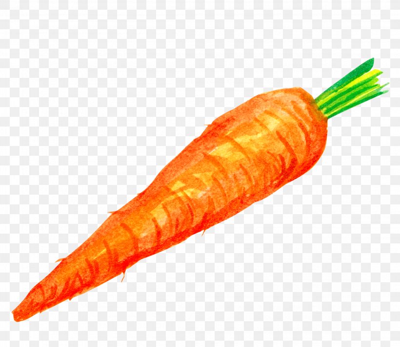 Carrot Cake Vegetable Illustration, PNG, 2300x2000px, Carrot, Carrot Cake, Chinese Cabbage, Corn On The Cob, Diagram Download Free