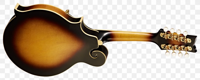 Musical Instruments Plucked String Instrument Mandolin Bridge String Instruments, PNG, 2500x1000px, Watercolor, Cartoon, Flower, Frame, Heart Download Free