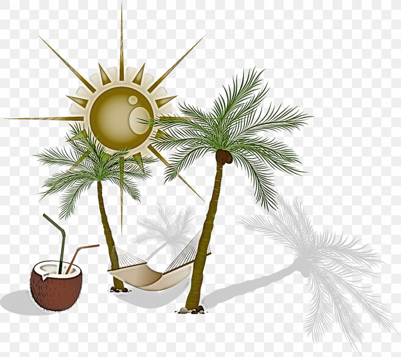 Palm Tree, PNG, 1585x1412px, Palm Tree, Arecales, Coconut, Flowerpot, Grass Download Free